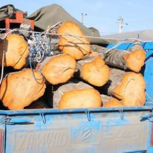 کشف چوب فاقد مجوز حمل در تیل آباد