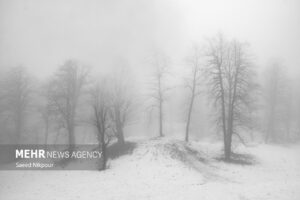 سامانه بارشی قوی در استان زنجان فعال شد؛ بارش نخستین برف پاییزی