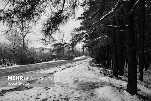مرادی: بارش شدید برف در ۵ محور گیلان؛ زندانه همچنان مسدود است