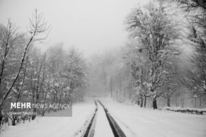 مرادی: آغاز بارش‌ برف در ۲ محور کوهستانی گیلان؛ تردد جریان دارد