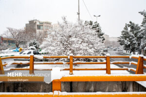 هوای مشهد پاک است