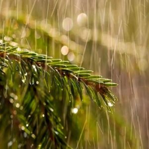 هشدار نارنجی تقویت سامانه بارشی در خوزستان صادر شد