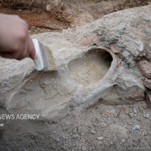 جایگاه ممتاز زنان در جامعه چگاسفلا