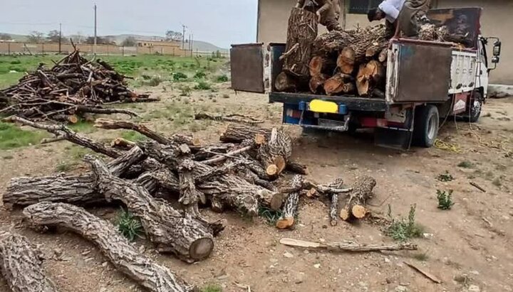 باقری: ۱۵ تن چوب‌آلات جنگلی قاچاق در آمل کشف شد