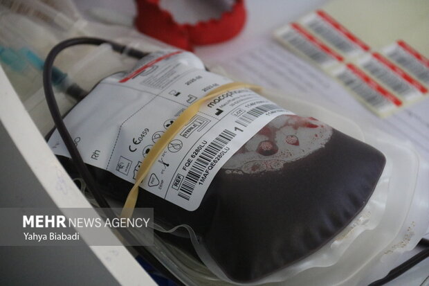 دعوت رئیس شورای هیئت‌های مذهبی از مردم بوشهر برای اهدای خون