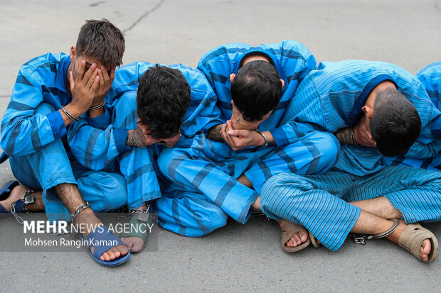 نور محمدی: باند ۴ نفره سرقت خودروهای ملاردی دستگیر شدند