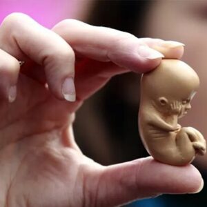 عوارض سقط‌های غیرقانونی بسیار گسترده و خطرناک است