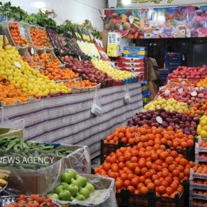 هر کیلو گرم خیار در کانال ۹۰ هزار تومان قرار گرفت