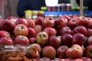 واحدهای متخلف صنفی دهلران نقره داغ شدند