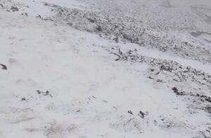 بارش اولین برف سال ۱۴۰۴ در منطقه تیکمه داش