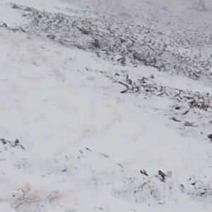 بارش اولین برف سال ۱۴۰۴ در منطقه تیکمه داش