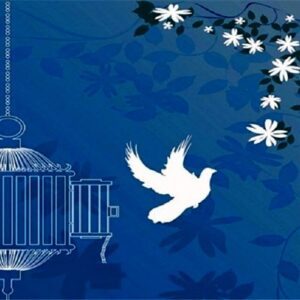 یک محکوم به قصاص در نکا بعد از تحمل ۱۲ سال حبس رهایی یافت