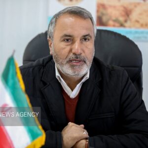 رضایی‌کوچی: کاهش بودجه فرهنگ مستقیماً بر قدرت نرم کشور اثرگذار است