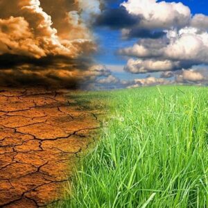 دستاوردهای سی‌امین کنفرانس تغییر اقلیم سازمان ملل تشریح شد