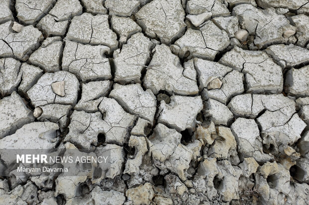 محیط زیست: تالاب بندعلیخان به خشکی مطلق رسید