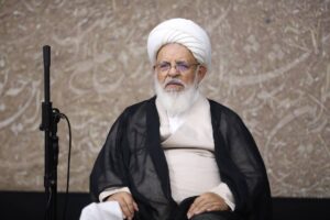 آیت‌الله ناصری: اسراف برق در ادارات و مراکز تجاری متوقف شود