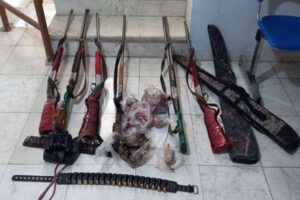 زارع: ۶۰ فقره دام شکار در مازندران کشف شد