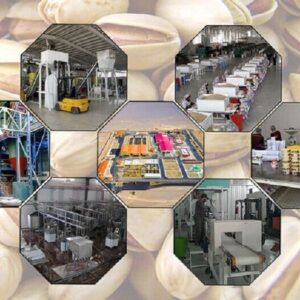 بیست‌وششمین رویداد ملی «تاثریا» در مازندران آغاز به کار کرد