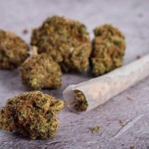 ۱۲٠ کیلوگرم حشیش در سواحل جاسک کشف شد