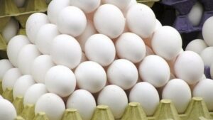 وقتی «گرانی» شانه‌به‌شانه «تخم‌مرغ» می‌زند