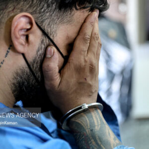 دستگیری عامل عربده‌کشی با قمه در مسعودیه تهران +فیلم