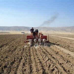 خاک ستون امنیت غذایی؛ آینده کشاورزی کرمانشاه بر شانه‌های خاک