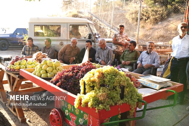 جشنواره تاک و افلاک شهر کامو و چوگان در تقویم ملی گردشگری کشور ثبت شد