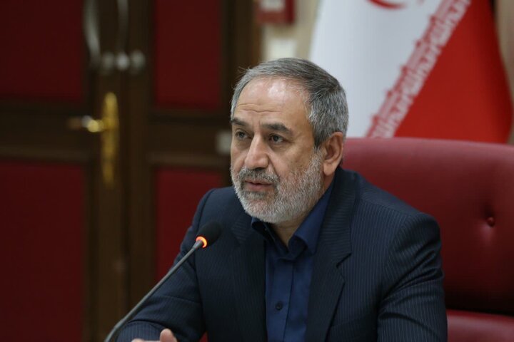 صفی خانی: تشکیل منظم کارگروه‌های فرعی تنظیم بازار ضروری است