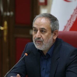 صفی خانی: تشکیل منظم کارگروه‌های فرعی تنظیم بازار ضروری است