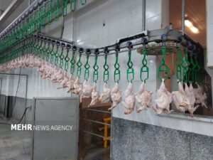 هر کیلو گرم گوشت مرغ ۱۶۸ هزار تومان شد+جدول قیمت کالاهای اساسی