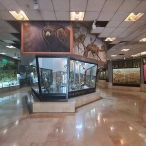 بازدید از موزه‌ها و اماکن تاریخی برای دانشجویان و اساتید رایگان شد