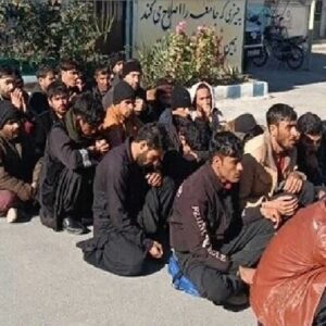 سرهنگ شیبک: ۲۲۰ اتباع بیگانه غیر مجاز در هیرمند جمع آوری شد