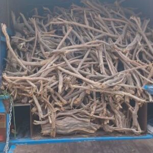 توقیف ۳ خودروی حامل چوب و هیزم جنگلی قاچاق در شرق مازندران