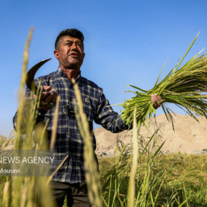 اندیشکده حکمرانی کشاورزی باهدف کمک به تصمیم‌سازی خوزستان راه‌اندازی شد