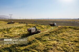 رهنما:زمین اهدایی خیر فاروجی صرف تأمین تجهیزات ضروری بیمارستانی می‌شود