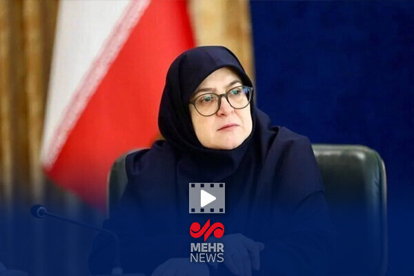 مهاجرانی: وزارت خارجه موضوع «آرش دربندی» را پیگیری می‌کند