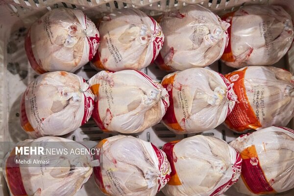 حیدری: قیمت فعلی مرغ در مشهد پایین‌تر از نرخ مصوب است