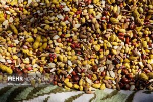 تعزیرات حکومتی طرح نظارتی ویژه شب یلدا را اجرا کرد