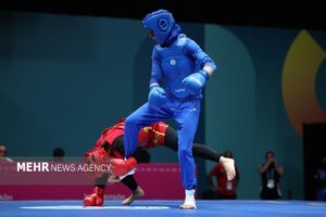 هاشمی: ووشوی ایران با تکیه بر استان‌ها در مسیر افتخارآفرینی است