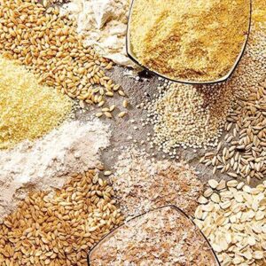 درخواست اتحادیه مرغداران تبریز: توزیع نهاده به دولت واگذار شود