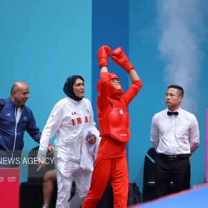 اعلام اسامی کادرفنی ووشو برای بازی های آسیایی؛هاشمی جانشین منصوریان شد