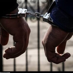 دستگیری ۴ سارق در دامغان؛ ۱۰ فقره انواع سرقت کشف شد