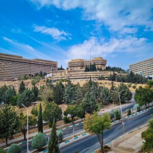 ۱۹ پژوهشگر دانشگاه شیراز در شمار پژوهشگران پراستناد یک‌ درصد برتر دنیا