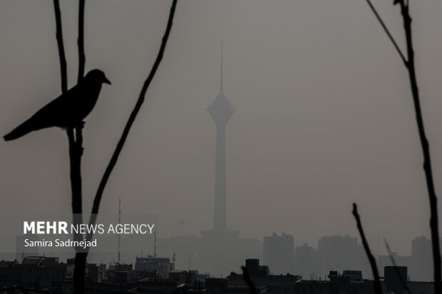 مدارس ابتدایی تهران شنبه غیر حضوری شد؛ زوج و فرد از درب منزل