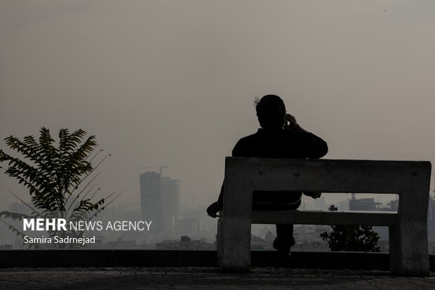 سهامداران آلودگی!