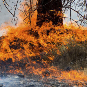 جباری: ۲۲۶ هکتار مناطق حفاظتی محیط‌ زیست آذربایجان‌غربی اطفای حریق شد