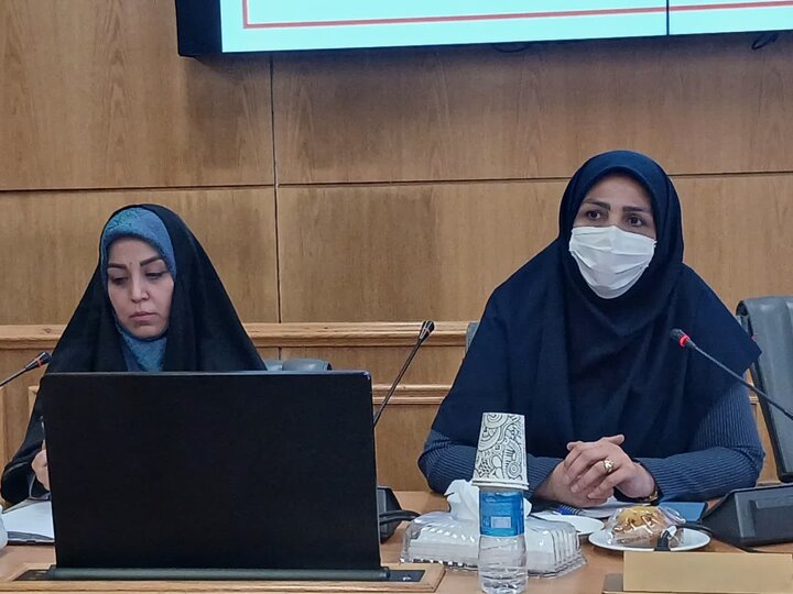 حامد:صنایع دستی بهترین فرصت اشتغال زایی بانوان است