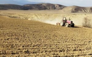 ایستگاه تولید بذر کجور دوباره فعال شد