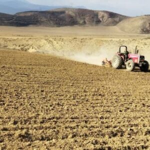 ایستگاه تولید بذر کجور دوباره فعال شد