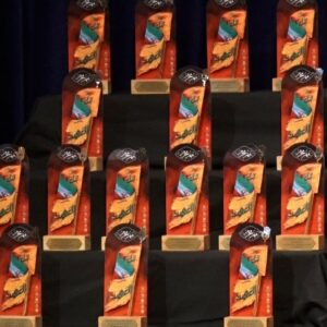 افتخارآفرینی عکاس خبرگزاری مهر در سوگواره بین‌المللی محرم